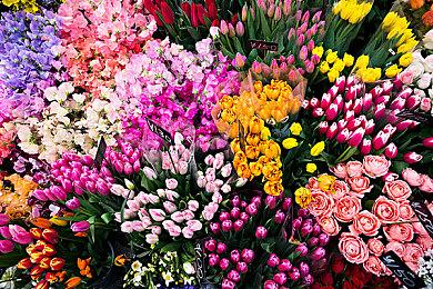 《消逝的光芒2》新预告 展示不同选择造成的影响