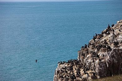 GeForce NOW公布多项新改动 支持5080以及DLSS 4等